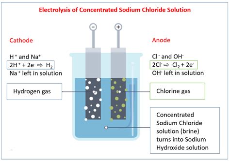 Electrolysis Of Salt Water Half Equations - Tessshebaylo