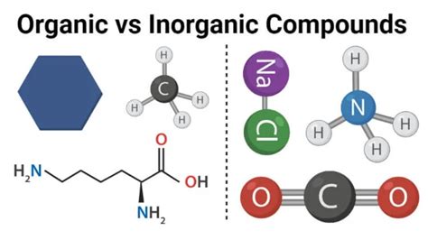 Differences Between Organic and Inorganic Molecules - YouTube