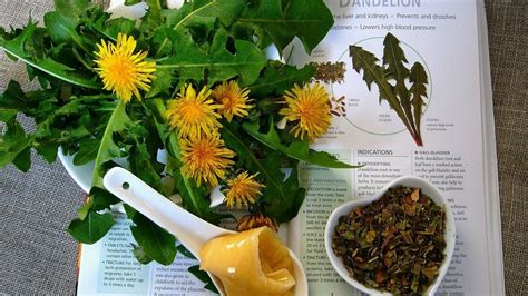 8 Natural Remedies for Post-Nasal Drip (And How To Avoid It) - Utopia