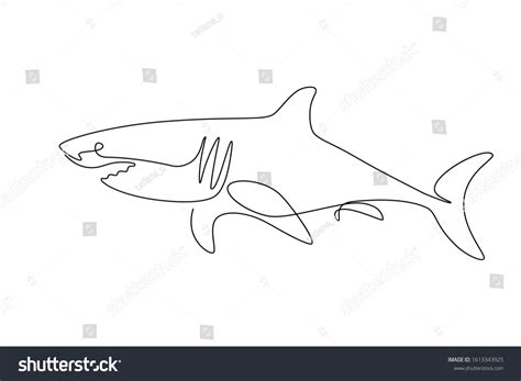 4,820 Shark Line Drawing Stock Vectors, Images & Vector Art | Shutterstock