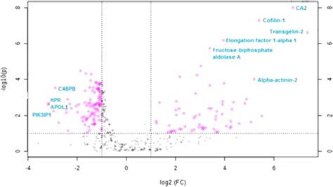 Important features selected by volcano plot with fold change (FC ...