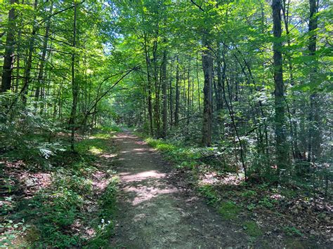 Hike Split Rock Mountain (North Trails) - Protect the Adirondacks!