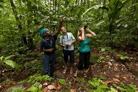 Nature and Adventure Tour in St.Lucia | Rainforest Adventure