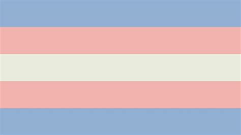 kaz ⚧︎🪶(HE/IT/XE) butch gayboy lesbian on Twitter: "pride flags ...