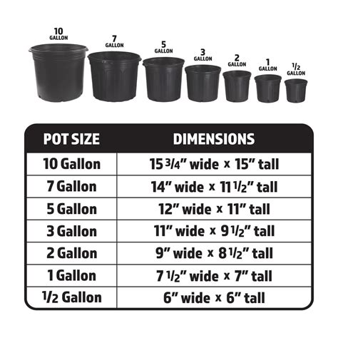 Guide To Container Sizes: Which Size Container Should I, 53% OFF