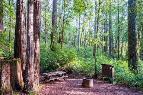 Rv Camping Near Humboldt Redwoods State Park | Kids Matttroy