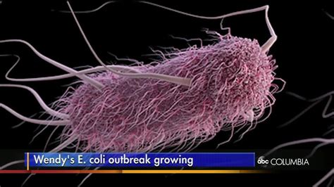 Outbreak of E. coli reported in six states - ABC Columbia