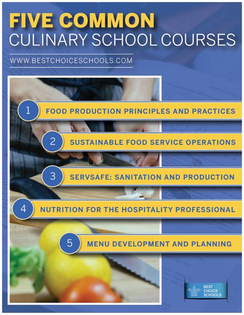 5 Common Courses in Culinary School - Best Choice Schools