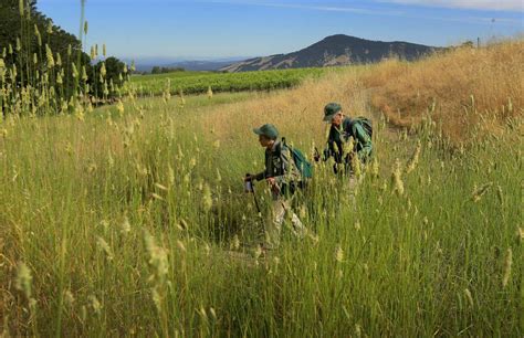 The challenge: Hike 150 miles of Sonoma County trails