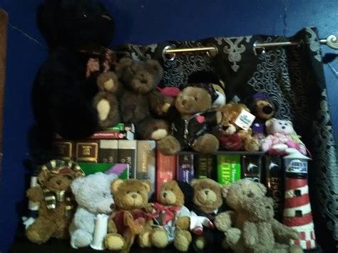 Some of my Teddy Bear collection | Teddy bear collection, Teddy bear, Teddy