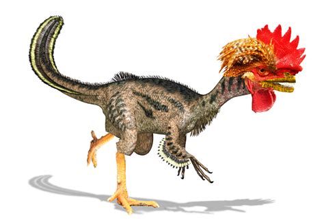 Dino-chicken gets one step closer | Live Science