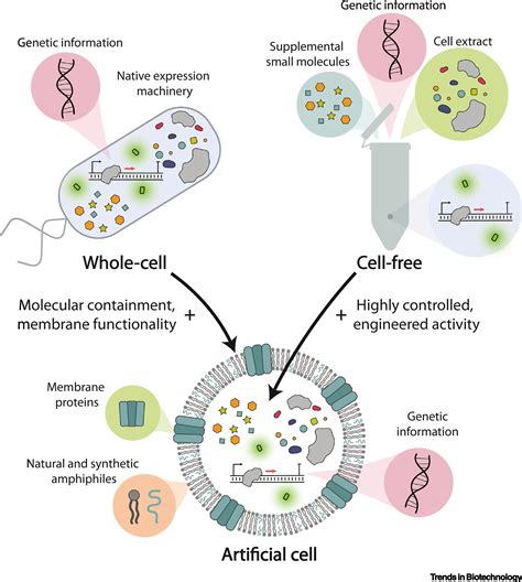 Designing Artificial Cells towards a New Generation of Biosensors: Trends in Biotechnology