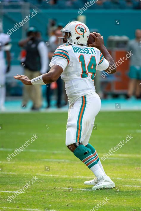 Miami Dolphins Quarterback Jacoby Brissett 14 Editorial Stock Photo ...