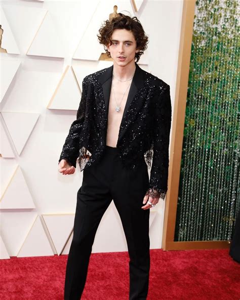 Timothée Chalamet on the red carpet of the 94th Academy Awards, Oscars 2022