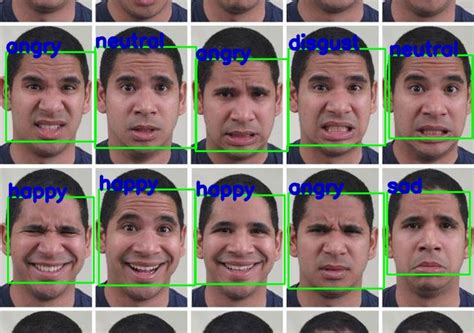 GitHub - shivam1808/Facial-Expression-Recognition: Facial expression ...