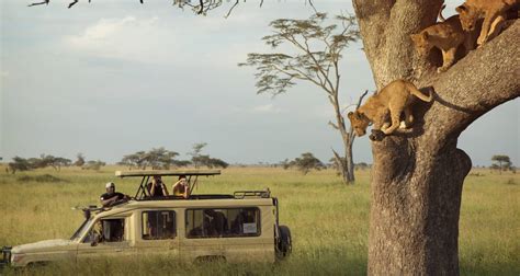 Victoria Falls & Serengeti Overland: Lakes & Landos by G Adventures with 19 Tour Reviews (Code ...