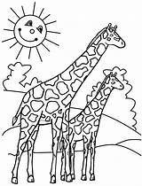 Zoo Giraffe Divyajanani Kleurtekeningen Olds Crafter 4kids Sketch  sketch template