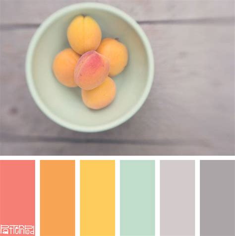 Apricot Grey Color - Lara Fruit