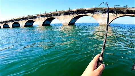 Florida Keys Fishing 7 Mile Bridge & Ledge Scouting - Whatever Bites! - YouTube