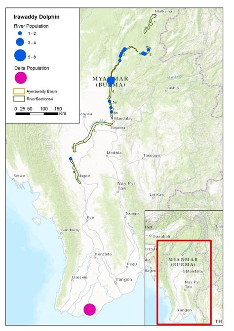 8-Distribution of the Irrawaddy dolphin in the Ayeyarwady Basin: (Blue... | Download Scientific ...