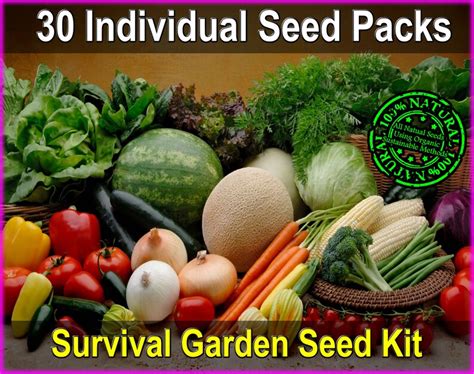 Vegetable Seeds Non-gmo Heirloom Vegetable Seed Pack - Etsy