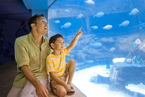 Miami Seaquarium tickets discount | Miami | Undercover Tourist