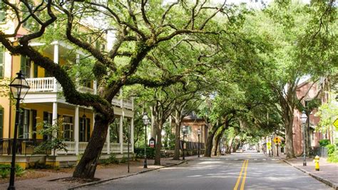 Hotel in Downtown Charleston | Hyatt Place Charleston/Historic District