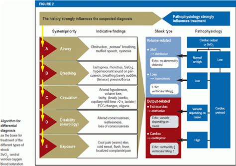 Classification of Shock Pdf