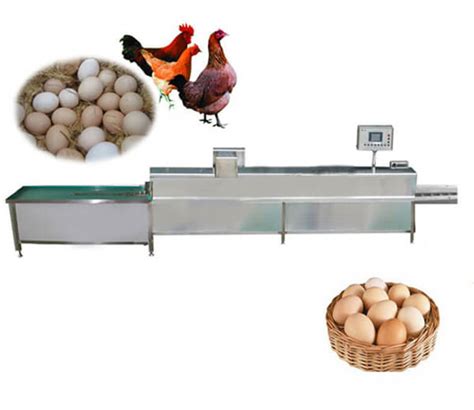 High Efficiency Egg Washing Machine-Save You Much Trouble