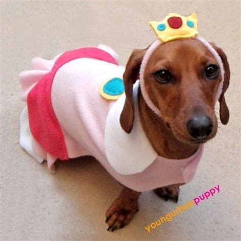 PRINCESS PEACH NINTENDO Dress Dog Costume by YoungUrbanPuppy, $29.50 ...