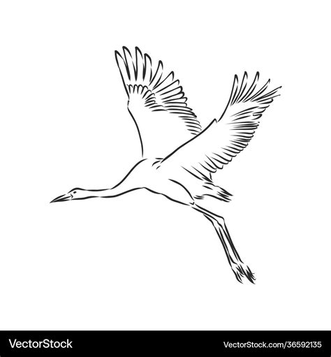 Crane bird icon bird sketch Royalty Free Vector Image