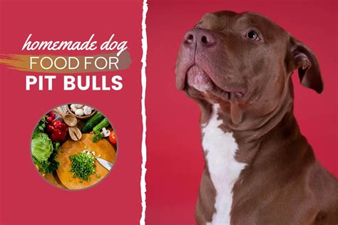 Homemade Dog Food For Pit Bulls Guide: Nutrition, Recipes & More ...