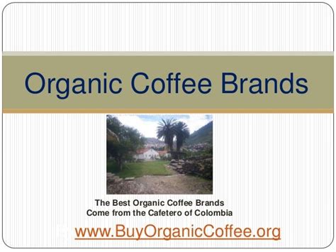 Organic Coffee Brands