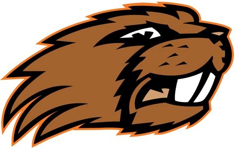 osu beavers clipart 20 free Cliparts | Download images on Clipground 2024