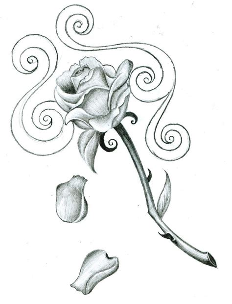 Falling Rose Petals Drawing at GetDrawings | Free download