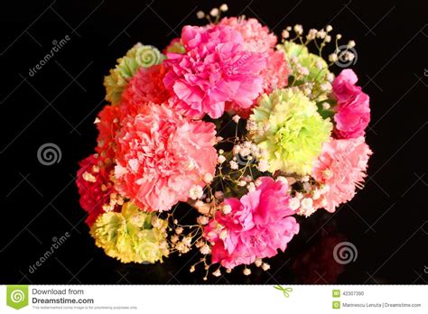 Bouquet of carnations stock photo. Image of horticulture - 42307390