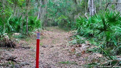 Cumberland Island National Seashore | HIKING TRAILS