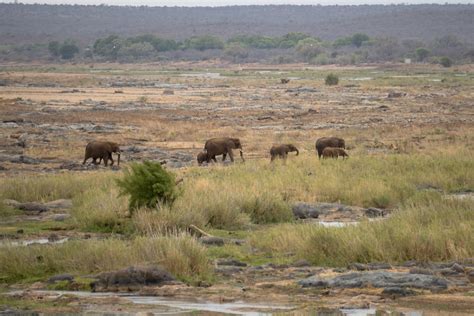 The Perfect South African Road Trip