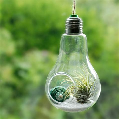 lightbulb air plant hanging terrarium by dingading terrariums | notonthehighstreet.com