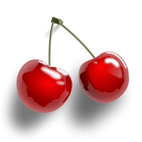 Cherries | Free Stock Photo | Illustration of cherries on a transparent background | # 11394