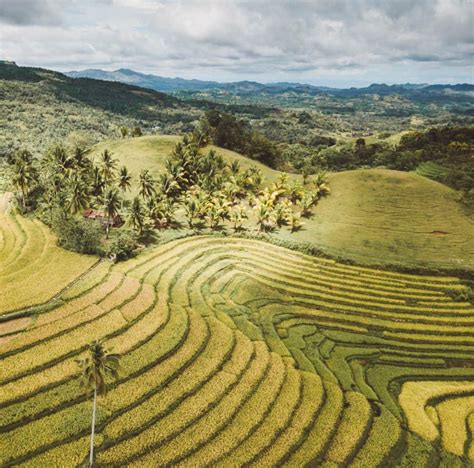 Bulubundukin Sa Pilipinas