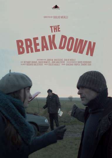 The Breakdown - Movie Cast, Reviews, Trailers & Streaming Info | Moviefone