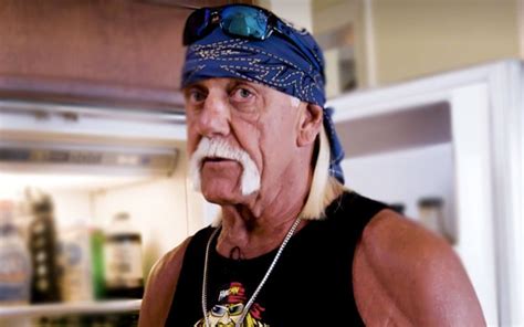 Hulk Hogan Called Out For Lying Big Time In New Interview