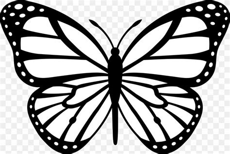 Butterfly Black And White Drawing Clip Art, PNG, 5920x3982px, Papillon ...