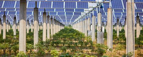 How Agrivoltaic Farming Promotes Renewable Agriculture - KnowHow