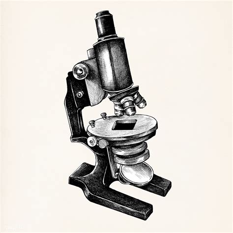 Hand drawn microscope isolated on background | free image by rawpixel.com | How to draw hands ...