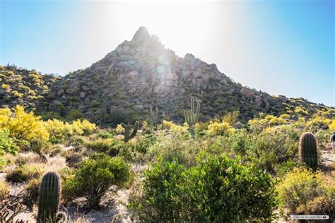 Pinnacle Peak Park: An Easy Hike and Pretty Views in Scottsdale, Arizona