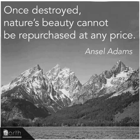 Pin by Laura Smith on Truth | Ansel adams, Nature quotes, Nature beauty