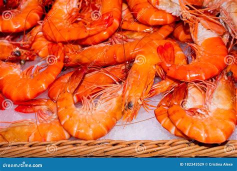 Closeup on Fresh Prawns in a Market Place Stock Image - Image of prawn ...