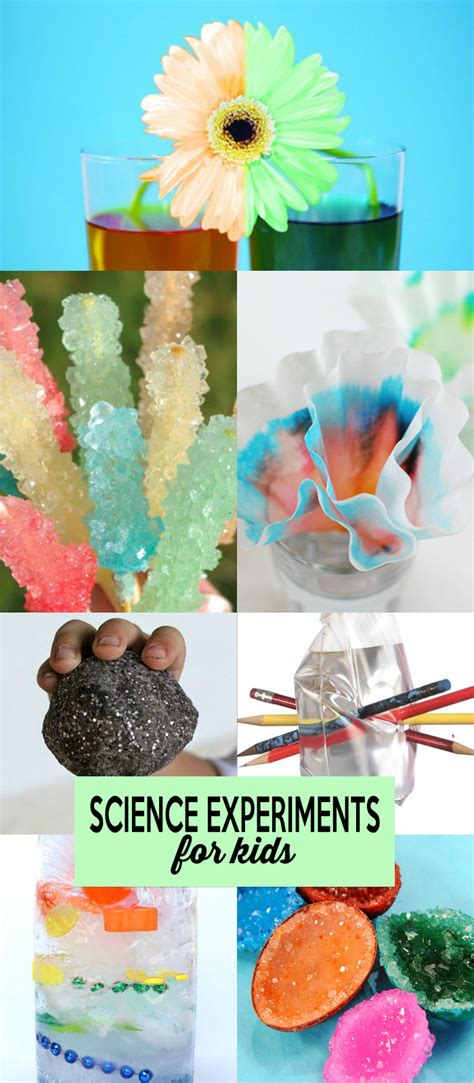 25 OUTDOOR SCIENCE EXPERIMENTS FOR KIDS